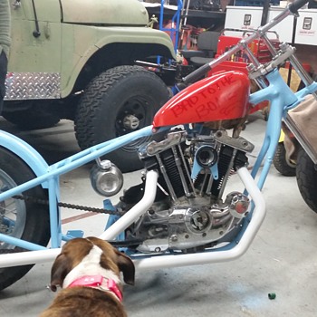 Barn find rebuilding ironhead Sportster. - Motorcycles