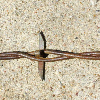 Antique Barbed Wire 