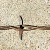 Antique Barbed Wire 