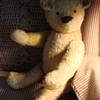 Mohair Teddy Bear 