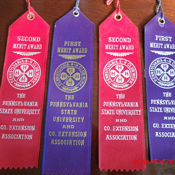 Early Sixties Penn State University 4-H Club Merit Ribbons