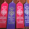 Early Sixties Penn State University 4-H Club Merit Ribbons