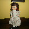 Pedigree Doll ???