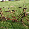Colson Flyer tandem rear steer bicycle