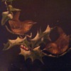 19th Century Photo Album With Hand Painted Wrens on Cover