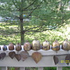 asian bells 