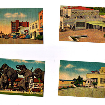 Retro Vintage Postcards From OLD SARASOTA, Ringling Musuem, Downtown,etc... - Postcards