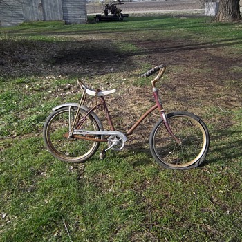 My purple flyer