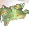 Smoking Frog 