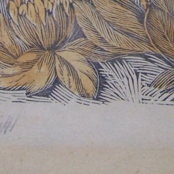 WW1- Germany Area Woodblock Flower Prints From Estate - Visual Art