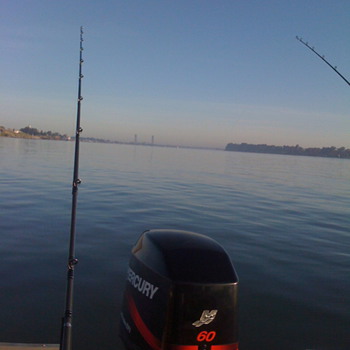 HAPPY NEW YEAR - Fishing