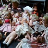 lots of dolls 