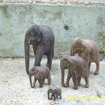 A herd of elephants