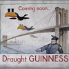 Guinness Toucan Painting by Gilroy: Original Study for a Poster