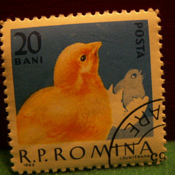 1963 R.P. Romina 20 Bani Stamp ~ Romania - Stamps