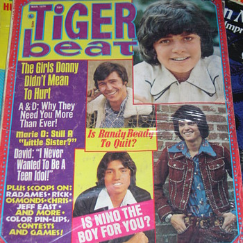 MORE VINTAGE TIGER BEAT MAGAZINES FROM 1974-75 - Paper