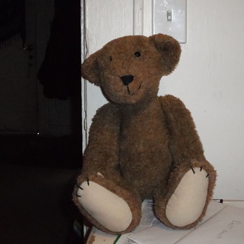 The mysterious Teddy 