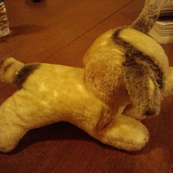 Unknown Dog ?