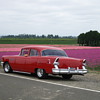 1955 Buick Special
