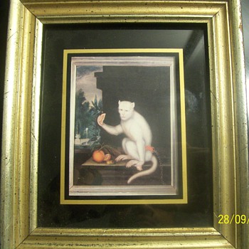 unknow dutch or english artist painting call portrait of a monkey