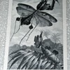 Finding interesting illustrations to frame and hang from old german newspapers
