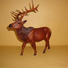 TEXAS REINDEER