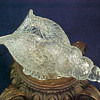 Loetz Colourless Chine' Sea Shell