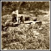 1895 Quebec Dog Sled Memory