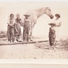 On Picnic At Wallops Island  