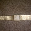 Lord Elgin Watch?