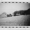 Threshing