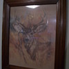 Buck & Ram, by artist 'K.Maroon'