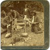 Black Americana Stereo View Possum Feed