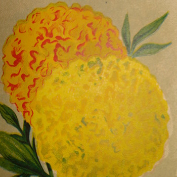 BURT'S SEED FOR QUALITY PRINT - Posters and Prints