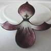 Art Deco Norwegian enameled Silver flower brooch