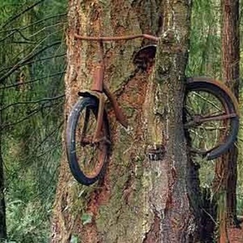 Don't know where this is, but I know it's a Mike Bike !