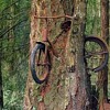 Don't know where this is, but I know it's a Mike Bike !