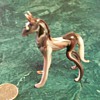 Marble Horse