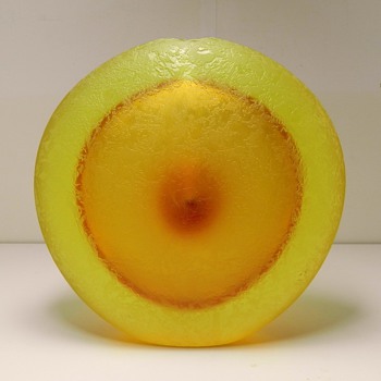 The Barbini Butterscotch Vase