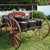 Buckboard Beauty!