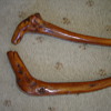 walking stick