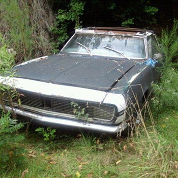 Abandoned cars in Delaware...Can you believe it?  No tresspassing signs too.