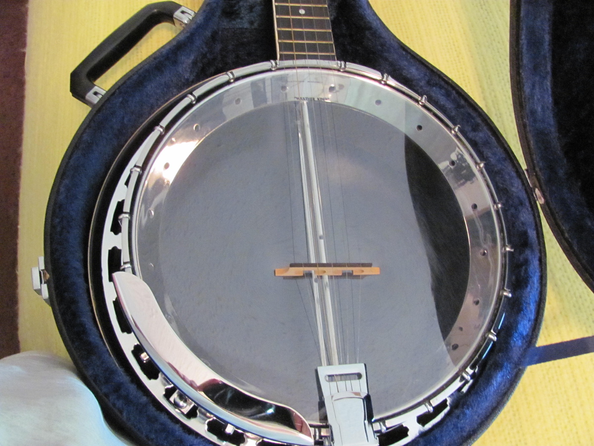 1970s Fender Leo Professional Banjo Collectors Weekly