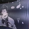  James Brown silkscreen - 13 feet wide x 9 feet tall