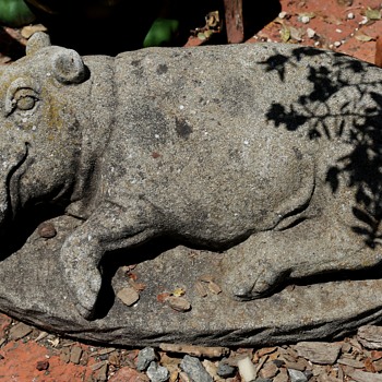 Garden Variety of Hippo - Animals
