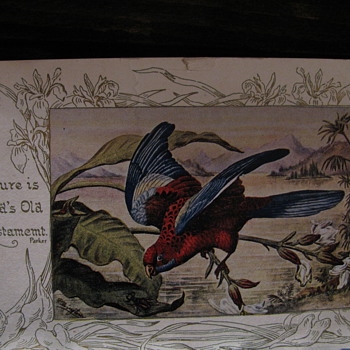 Early 1900's Postcard