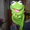 the muppets