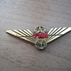 TWA Promo Wings