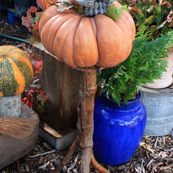 Halloween Season at my nursery