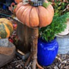 Halloween Season at my nursery